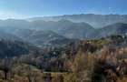 Teren de vânzare în sat Măgura/ Brasov– loc pentru familie, liniște și suflet - 13