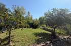 VILĂ CU PERSONALITATE|OAZĂ DE RELAXARE|BUFTEA–CALUL BĂLAN|TEREN 756MP - 17