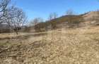 Livadă de nuci – 2 ha | Acces DN17 | Investiție profitabilă - Cristur - 4