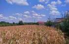 Snagov Ghermănești 4000 Mp Teren de v&acirc;nzare L3 S+P+1E+M LIDL Ieșirea Spre A3 - 18