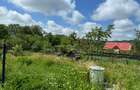 Amarasti Nemoiu in apropiere de Dragasani si Valcea - 9