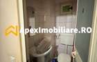 Apartament 3 camere de inchiriat Valea Ialomitei București | ApexImobiliare.ro - 5