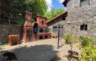 Royal Imobiliare -vanzare vila/ casa de vacanta zona CAMPINA - 34
