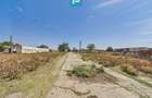 Teren intravilan 146.866 mp | Jimbolia - 15