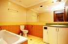 Apartament nemobilat Herastrau - 7