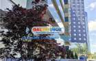 Apartament 2 camere, Aviatiei Tower, Faza 1, langa Promenada Mall - 6