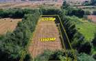 Teren intravilan 1.350 și 1.413 mp în zona Valea Avrigului - 3
