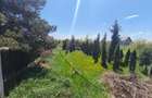 Teren intravilan, 4600mp, zona Francei, Radauti