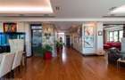 Penthouse unic cu 7 camere,4 bai | vedere panoramica catre parc - 11