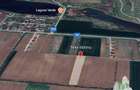 Teren pentru case 6000mp Moara Vlasiei - 2