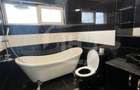 Triplex, curte generoasa, garaj, zona Eroilor - 11
