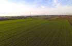 Teren Investitional 1,24 ha Com Berceni | deschidere 42ml | #CG28 - 6