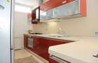 Penthouse exclusivist vedere parc Herastrau - 9