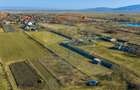 Pret imbatabil in zona: Teren Intravilan 5.000 mp Prejmer - 11