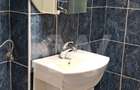 Apartament 3 camere decomandate , ultracentral ,parter - 5
