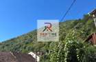 Casă individuală solidă din cărămidă 100 mp - B. Herculane - 5