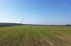 Teren intravilan de vanzare, 66400 mp, langa Oradea, Bihor - 5