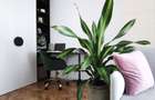 Apartament 2 camere, zona centrala - 8