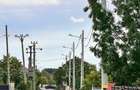 Teren 9.100 mp Răcari | ideal casă, livadă sau investiție | lângă DN71 - 13