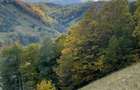 Teren extravilan cu priveliste catre Bucegi – Moieciu de Jos 4.700 mp - 2