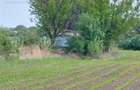 la Soseaua Principala (Braila-Buzau) Teren 9000 mp deschidere 120m  Lacu Sarat - 4