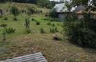 Teren intravilan + extravilan 10.537 mp – casa, livada sau ferma de familie - 15