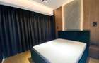 2 camere | One Mircea Eliade | Floreasca | terasa 10 mp - 6