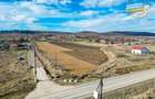 Proprietate remarcabila: 32.000mp teren, acces direct DJ112,Ilieni,Covasna - 14