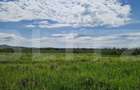 Teren intravilan, 8633 mp, Rascruci - 2