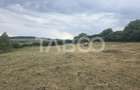 Teren de vanzare 8700 mp cu un front de 30m in Sura Mare - 5