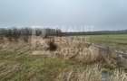 Teren intravilan de vânzare – 5.986 mp, Ciofliceni, Snagov (Ilfov) - 1