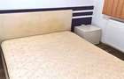 Apartament 2 camere Centru - Palas Mall - Lazar Residence- 399 euro - 5