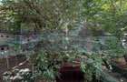 VANZARE 2 CAMERE PRIMAVERII | ZONA LICEUL JEAN MONNET | ETAJ 1 |