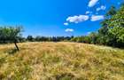 Teren intravilan   Cotmeana Arges - 2