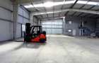 Magurele,hala 1000 mp,constructie noua ,ideal depozitare,productie - 15
