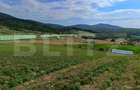 Teren extravilan, de vanzare, 6500 mp,  zona Crasnei - 1