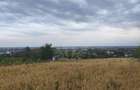 TEREN PAULESTI//10.000 MP - 12
