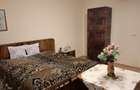Casa 4 camere in Seitin Judetul Arad - 12