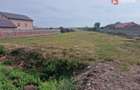 Teren intravilan de 2492 mp de vanzare in Bucovat - 1