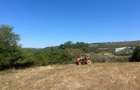 RECO Teren extravilan Holod 27400 mp - 1