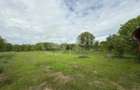 Teren intravilan cu casa renovabila | 2500mp teren | Front 21m | Aiton - 5