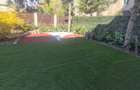 Vila individuala Iancu Nicolae - British School - 5