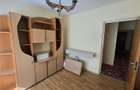 AP.4 CAM DECOM 2 BAI COLENTINA DOAMNA GHICA PARC PLUMBUITA - 18