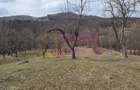 Teren intravilan 2200 mp de vanzare in Valea Doftanei - 3