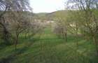 (307) Teren intravilan Calinesti – sat Carstieni, jud. Arges / Direct proprietar - 4