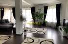 Vila 5 camere, Lebada - 1