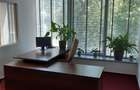 Birouri, Showroom, Sala de prezentari, Depozit , functiuni multiple - 12