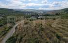 Teren extravilan, 2200 mp, zona BAciu - SunGarden - 5