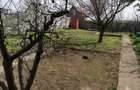 Casa Lacu Sarat, 2 camere, caramida, St-530 mp - 8