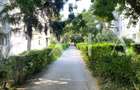 AX1179 Take Ionescu, Renovat Integral, Bussiness Activ - 11